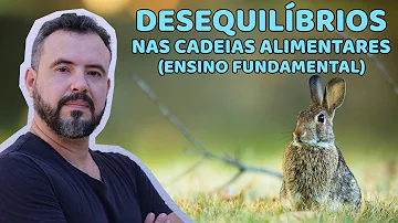 Como a caça Predatoria pode afetar na cadeia alimentar?