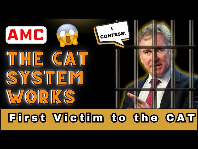 AMC The Consolidated Audit Trail CAT Has Caught Its First Criminal class=
