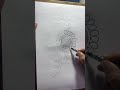 Sketch a flower 
