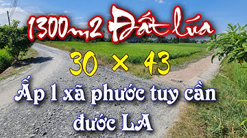 Bán đất lúa 9 chủ Diện Tích 1300m2 đường xe hơi ấp 1 xã phước tuy cần đước long an