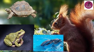 |വയലും വനവും |fields and forests|std 4|പരിസരപഠനം|