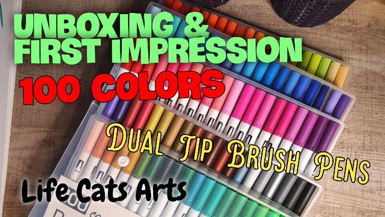 100 brush pens dual tip real