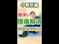【腰痛体操】横浜の整体師が教える腰痛の治し方 30秒ストレッチで腰痛を改善しよう #shorts