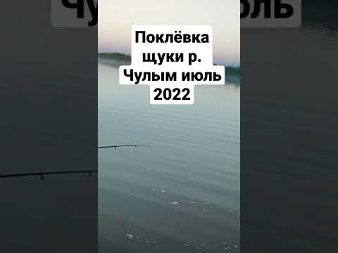 Река Чулым новосибирская область июль 2022