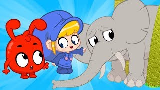 Morphle en Español | Un día en el zoológico con Morphle | Caricaturas para Niños