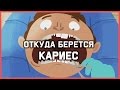 Edu: Откуда берется кариес?