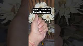 Did You Know What Itchy Palm Means? #palmistry #palmreading #palmlines #astrology #shorts #short