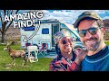 RV LIVING LAS VEGAS | Add this RV Campground to your list! (worth it!)