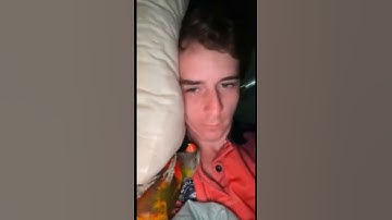 161 TRES Viral Funny 1BTC CompBTC