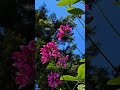 远足随拍 40714 #hiking #travelphotography