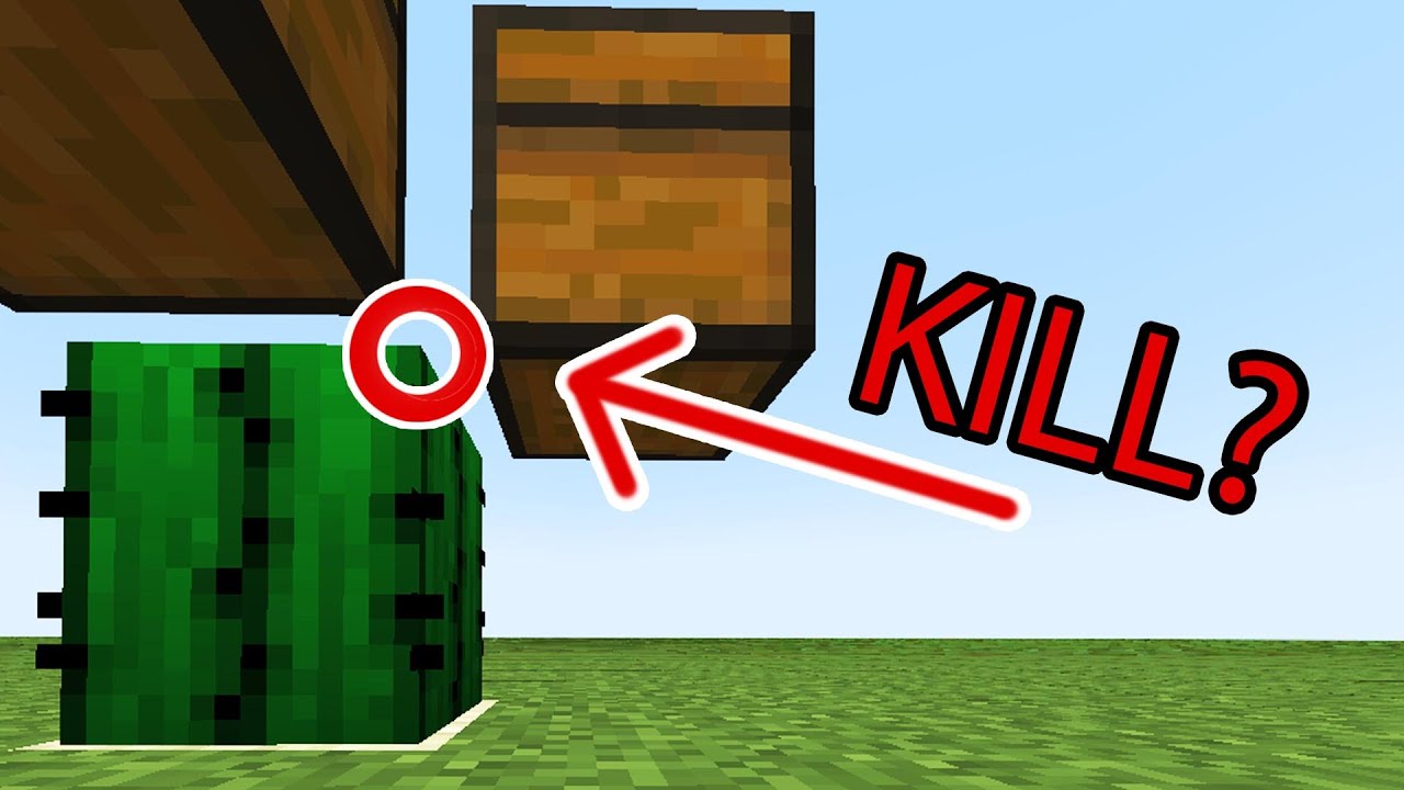 can 1 pixel of cactus kill you? 