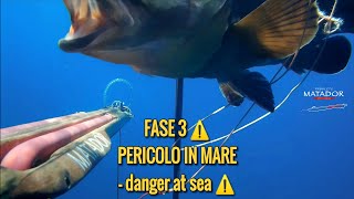 pesca sub | FASE 3 IL PERICOLO NON E' IL VIRUS spearfishing arbalete Matador