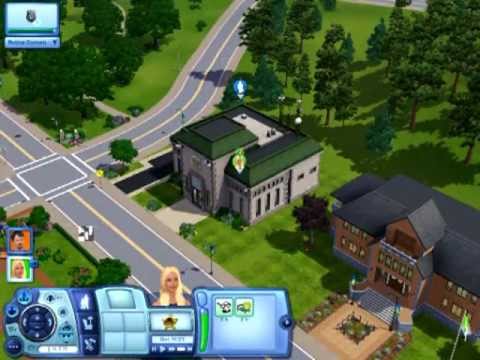   sims 3        