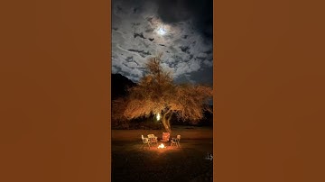 أرح سمعك 🥀القارئ: عبد الرحمن الحميداني 🍃حالات واتس آب