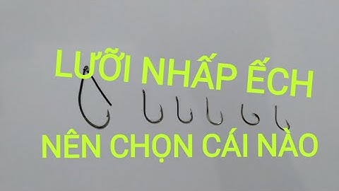 LƯỠI NHẮP ẾCH,LƯỠI CÂU ẾCH ĐỒNG,BAO SẨY,BAO DÍNH