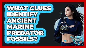 What Clues Identify Ancient Marine Predator Fossils? - The Marine Life Explorer