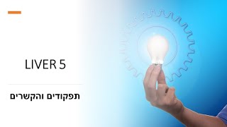 על הנקודה הנפלאה LIVER 5 ומסלול החיבור של הכבד