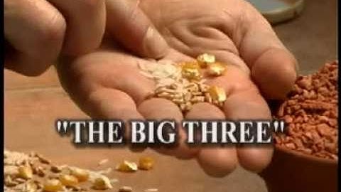 Grains & Legumes trailer