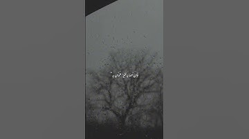 سورة الحج #قرآن #quran #راحة_نفسية #foryou #اكسبلور