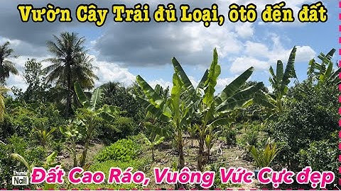 🌻T.147🌻Lô đất vườn vuông vức quá đẹp. 1.800m2. Xã Long An, Châu Thành, Tiền Giang.