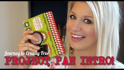 Project Pan 2018 INTRO |Project 10 Pan