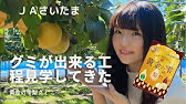 これは欲しい げんきのかけらグミ ポケモン Youtube これは欲しい げんきのかけらグミ ポケモン Youtube