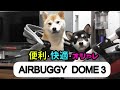 【柴犬姉妹】AIRBUGGY DOME3 購入しちゃいました！【エアバギードーム3】