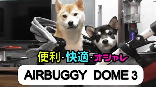 【柴犬姉妹】AIRBUGGY DOME3 購入しちゃいました！【エアバギードーム3】