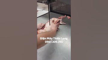 Máy Cưa Xương Cắt Thịt Cá Đông Lạnh ALPHA | Điện Máy Thiên Long📞0️⃣7️⃣9️⃣7️⃣8️⃣6️⃣8️⃣7️⃣8️⃣8️⃣