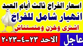 اسعار الفراخ البيضاء اليوم / سعر الفراخ البيضاء اليوم الاحد 23-4-2023 في مصر جمله وقطاعي