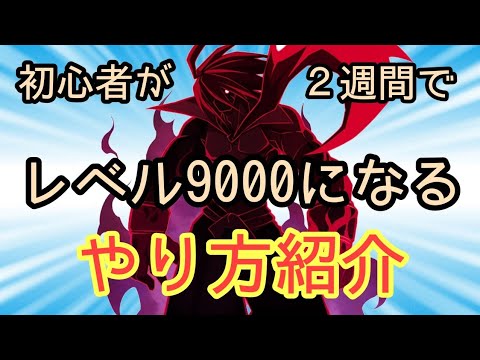 【ディスガイアRPG】初心者が２週間以内にレベル9000に到達する方法！