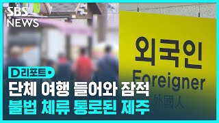 단체 여행 들어와 잠적…불법 체류 통로된 제주 / SBS / #D리포트