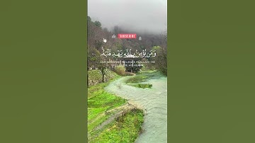 ما أصاب من مصيبة إلا بإذن الله | سورة التغابن عبدالله_الموسى