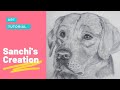 How to draw a dog  sketching tutorial  sanchis creation