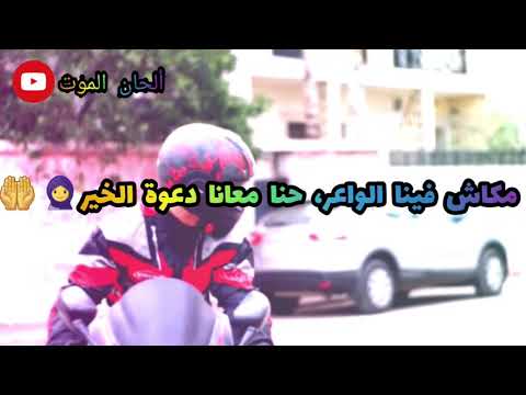 أخدم وعول حاجة ما تجي بساهل
