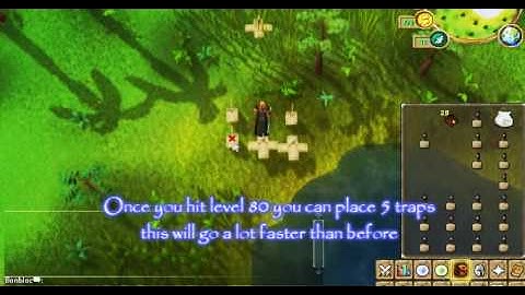 Ultimate 1-99 Hunter Guide 1753k CASH PER HOUR+ Best XP Per Hour | by Bonbloc