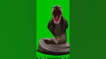 snake greenscreen. #greenscreen #tutorial #effects #videoeffects #edit #editing #animation