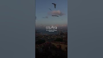سورة الشرح | القاري عكاشه كميني