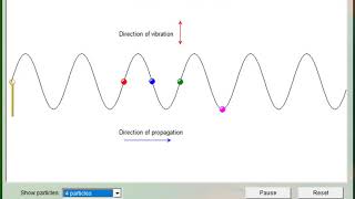 Transverse waves animation