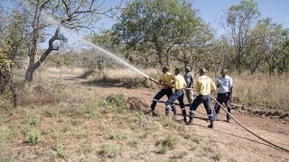 Feux au Canada : des centaines de pompiers sud-africains à la rescousse