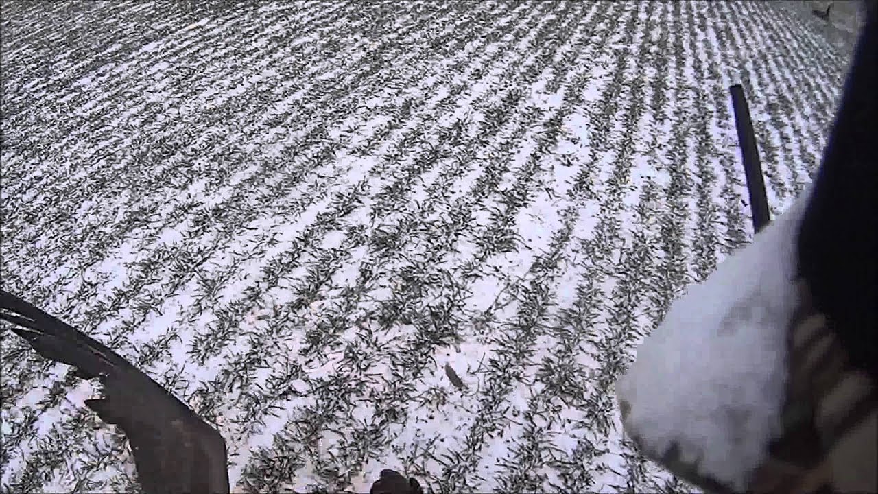 Goose Hunting Canada Geese New Jersey 1 6 2015 YouTube goose-hunting-canada-geese-new-jersey-1-6-2015-youtube