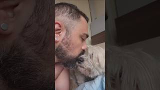 Im Persian, Im Not Muslim.