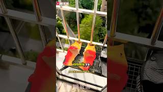 Terliklerim Kizarmiş Tavuk Oldu