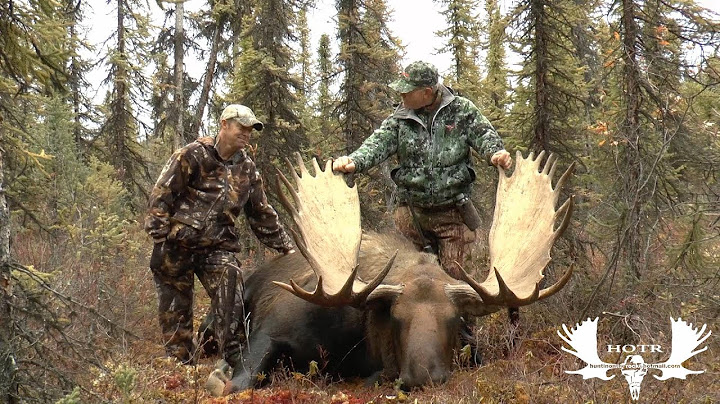 Macmillan Monsters Moose