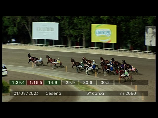 2023 08 01 | Corsa 5 | Metri 2060 | Premio Marialti Romagna Beer