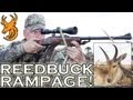 Hunting Common Reedbuck in Mozambique