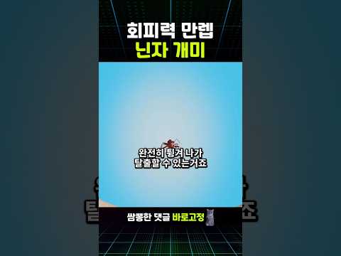 회피력 만렙의 닌자 개미 thumbnail