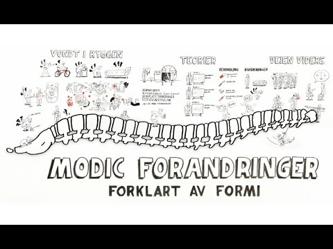 Modic forandringer - forklart av FORMI - YouTube