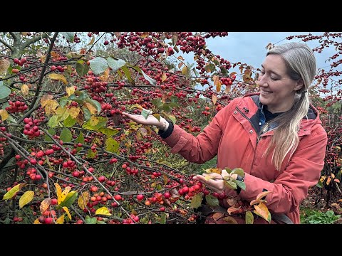 Floret Farm Tour Why We Wait To Clean Up The Garden