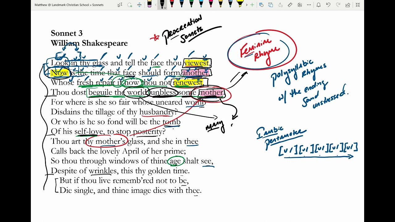 Сонет 3 Уильяма Шекспира